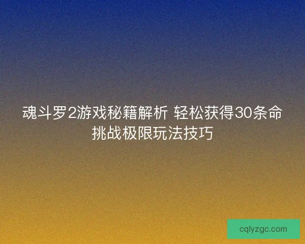 魂斗罗2游戏秘籍解析 轻松获得30条命挑战极限玩法技巧