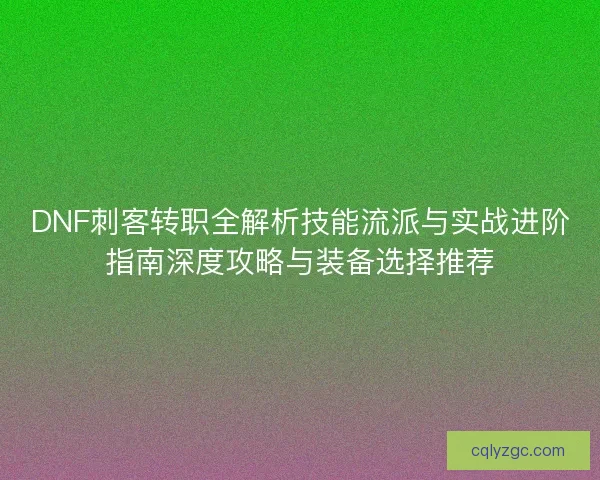 DNF刺客转职全解析技能流派与实战进阶指南深度攻略与装备选择推荐