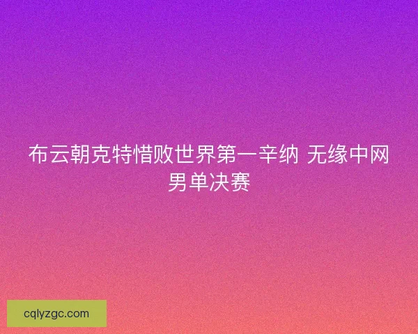 布云朝克特惜败世界第一辛纳 无缘中网男单决赛