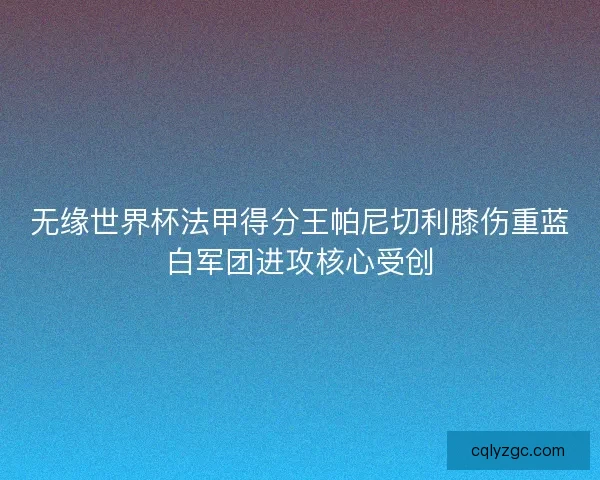 无缘世界杯法甲得分王帕尼切利膝伤重蓝白军团进攻核心受创