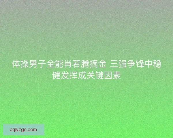 体操男子全能肖若腾摘金 三强争锋中稳健发挥成关键因素 体操男子全能肖若腾摘金 三强争锋中稳健发挥成关键因素