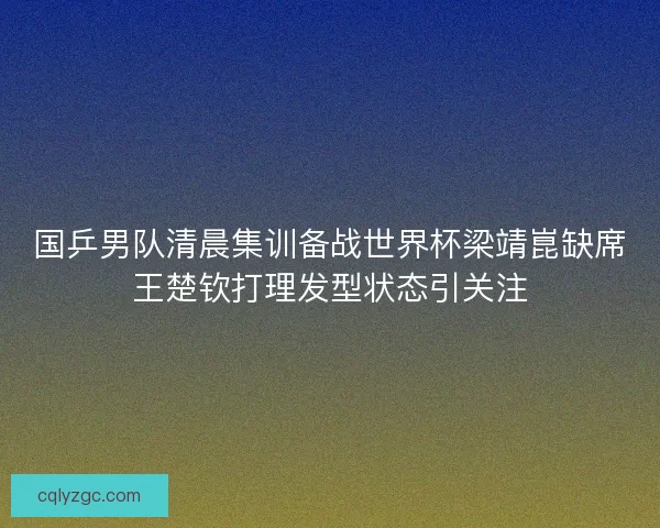 国乒男队清晨集训备战世界杯梁靖崑缺席王楚钦打理发型状态引关注